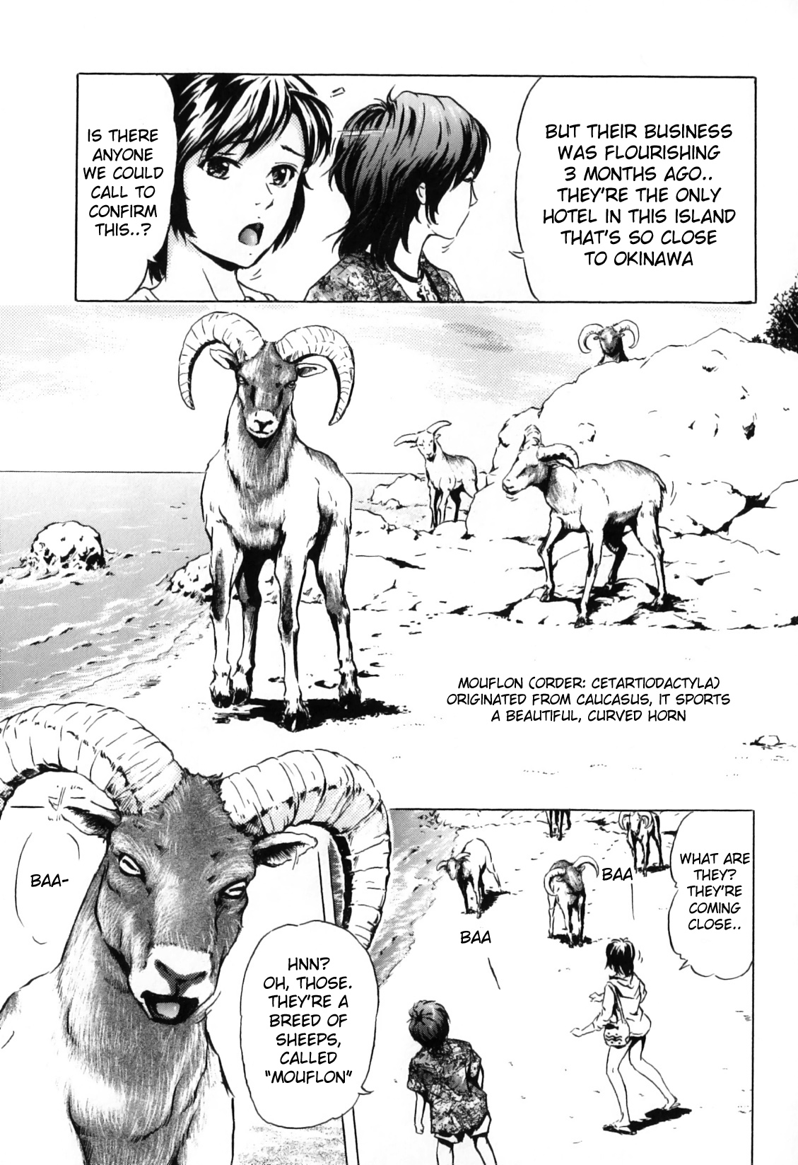 [Ichinose Tsuzuki] Nangoku no Mouflon | Mouflon of the South (Kemono For Essential 7) [English] {desudesu} page 3 full