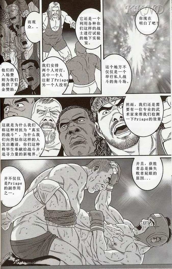 [田亀源五郎] 闘技場～アリーナ [Chinese] page 52 full