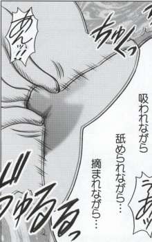 [Crimson Comics (Carmine)] Watashi wa mou Nigerrarenai (Mobile Version) (Final Fantasy XIII) page 33 full