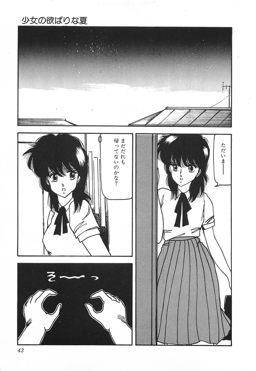 [Hibiki Rika] Dokidoki C Taiken page 43 full