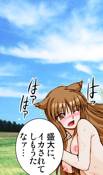 (SC38) [Raijinkai (Harukigenia)] Wolf Road (Ookami to Koushinryou [Spice and Wolf]) [Colorized] page 89 full