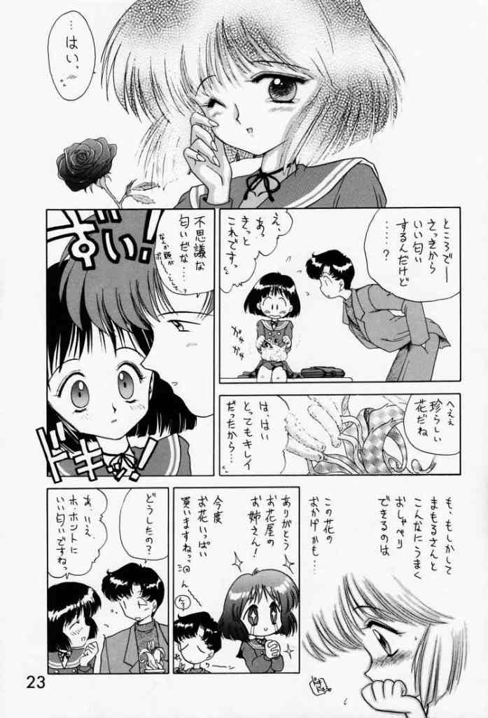 (C51) [BLACK DOG (Kuroinu Juu)] SUBMISSION SATURN (Sailor Moon) page 21 full