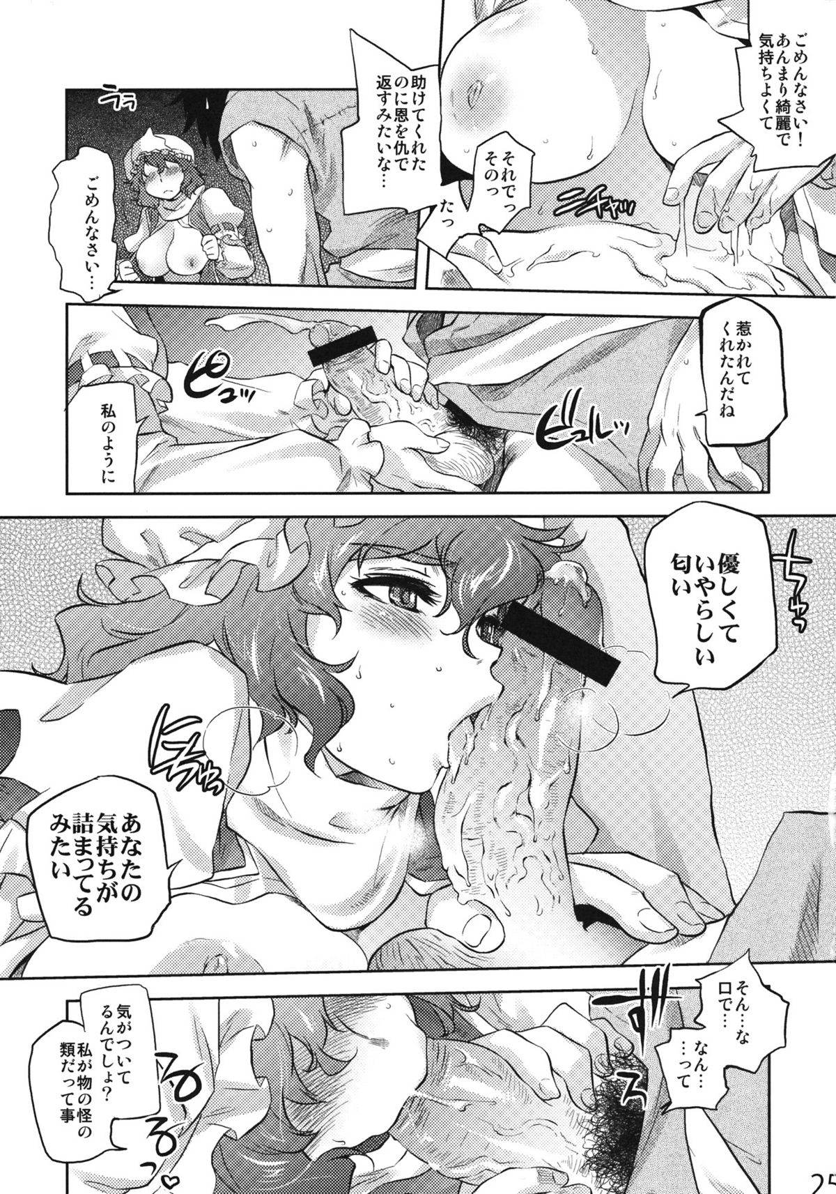 (C81) [Rapid Rabbit] Sekka no Sho (Touhou Project) page 23 full