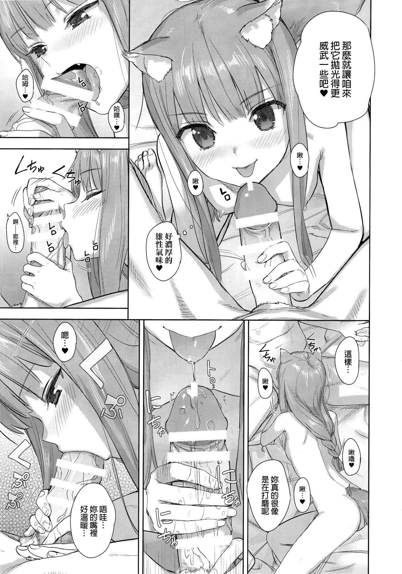 (C96) [Ajisaidenden (Kawakami Rokkaku, Takanashi Rei)] Wacchi to Shippori Kezukuroi Bon (Spice and Wolf) [Chinese] [final個人漢化] page 10 full