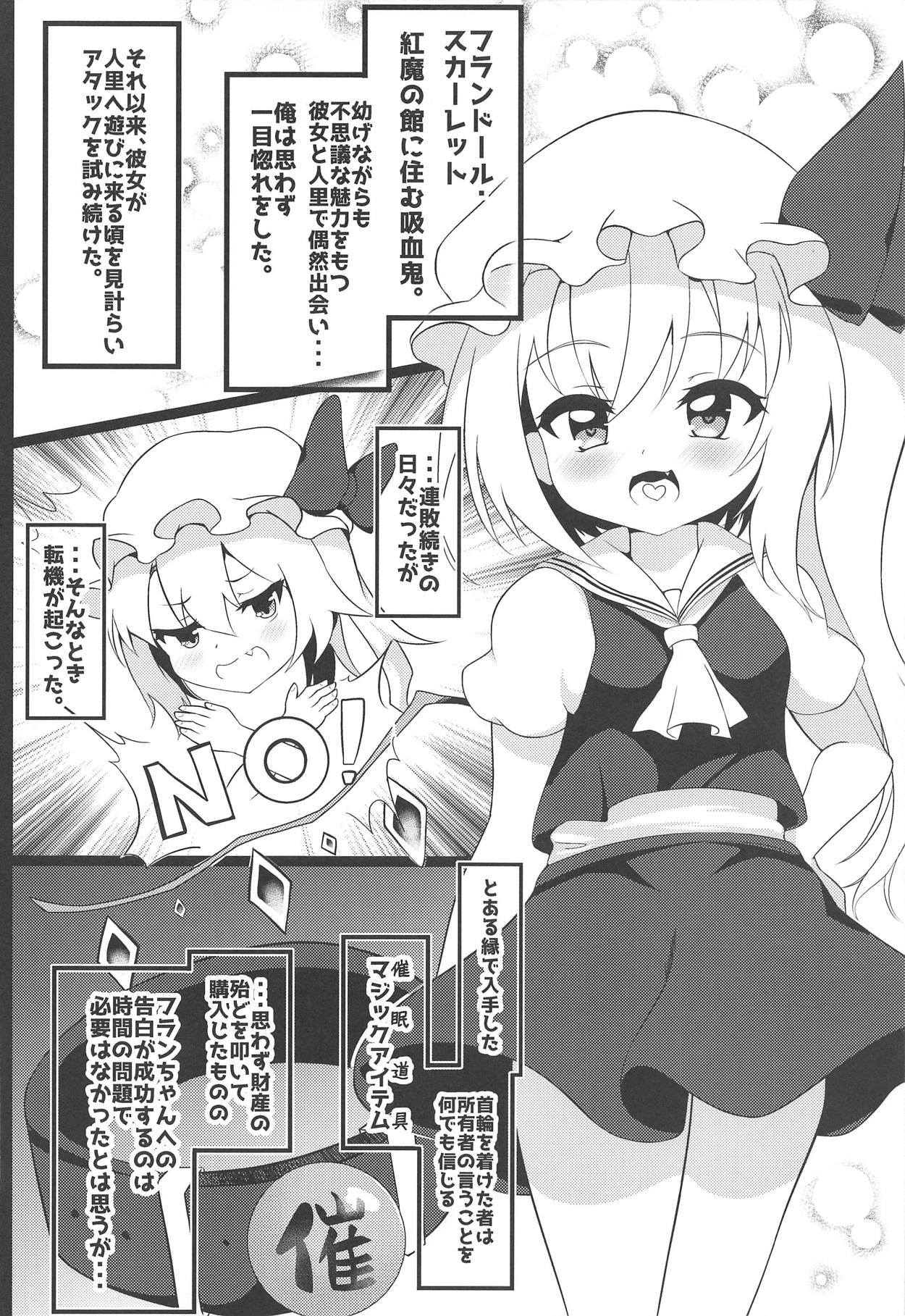 (C95) [Saigo made Anko Tappuri (Akiba Monaka)] Kawaii Kyuuketsuki no Tenazukekata (Touhou Project) page 3 full