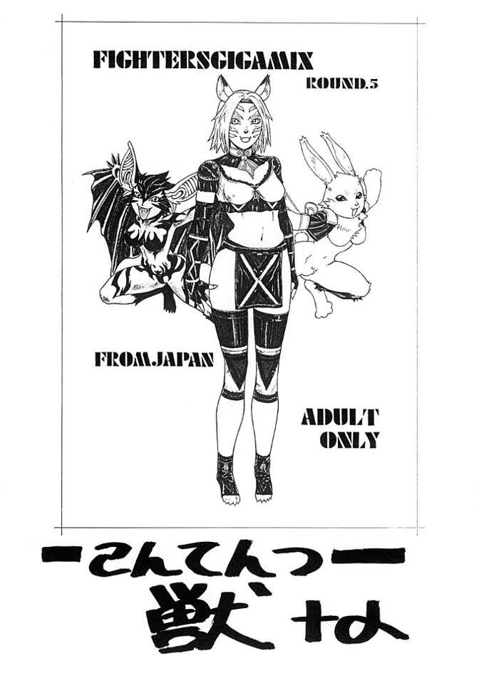 [From Japan (Aki Kyouma)] FIGHTERS GIGA COMICS FGC ROUND 5 (Final Fantasy I) page 3 full