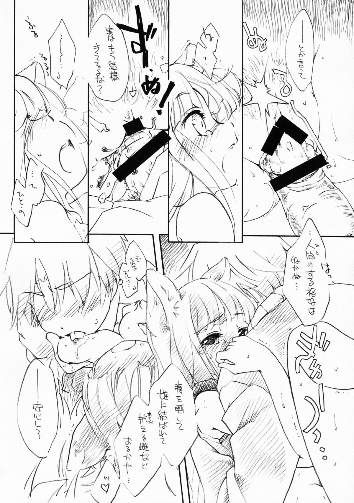 (C76) [Hinaprin (Ikuta Takanon)] Ookami no Soukessan (Spice and Wolf) page 12 full