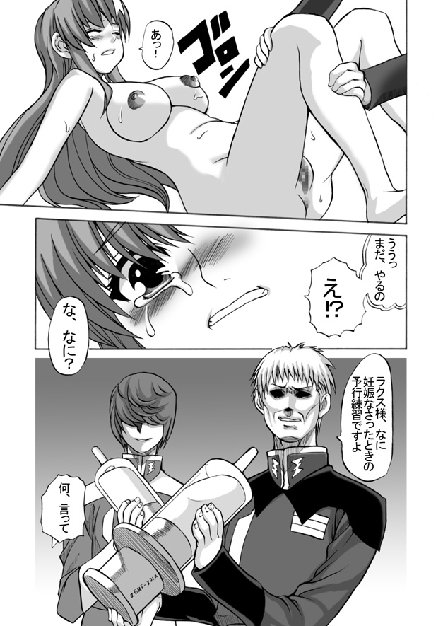[Shinyanchi] Follower (Gundam Seed Destiny) page 26 full