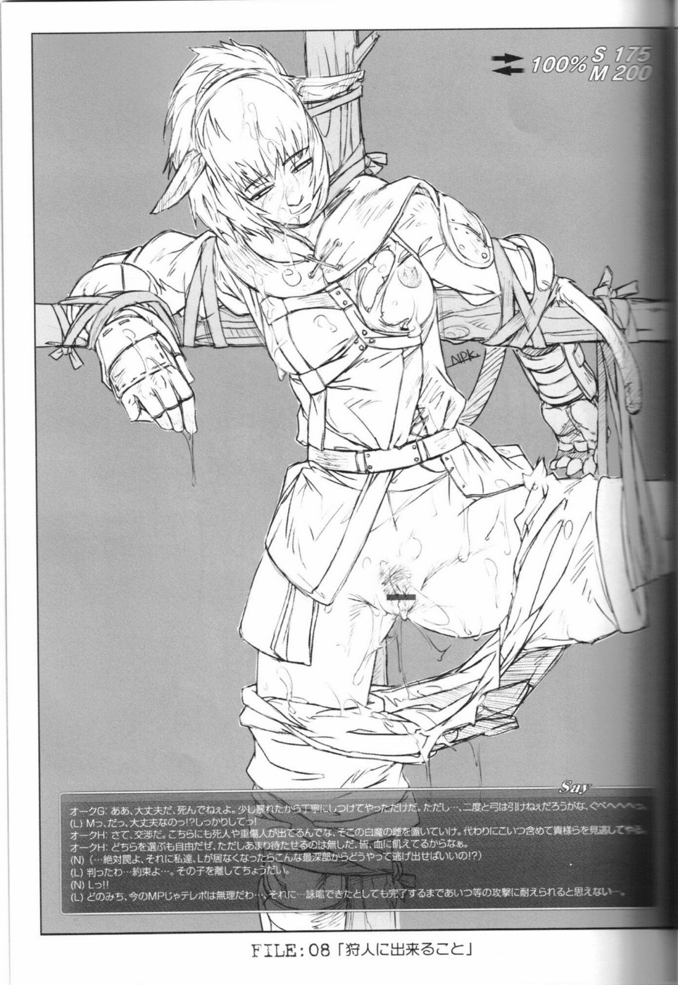 (C67) [NP Virus Jouryuusho (N-P-KATOU)] Mithman Report FILE:00-FILE:15 (Final Fantasy XI) page 12 full