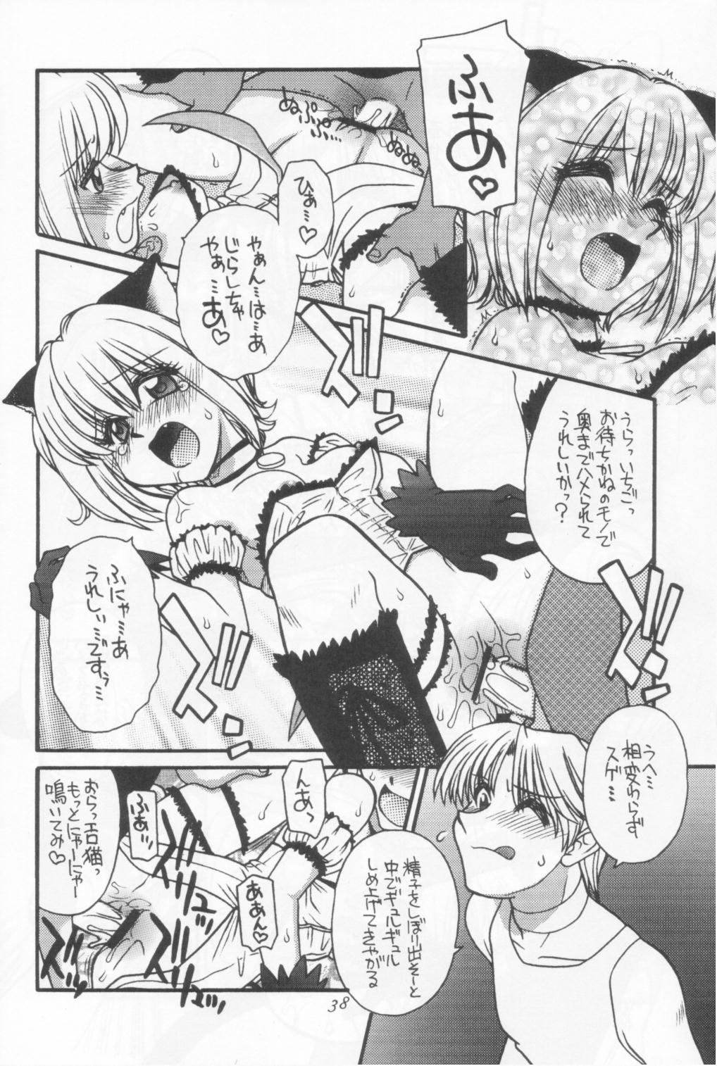 [Genki Honpo (Daifuku Keiji, Saranoki Chikara)] Tokyo Nekomusume (Tokyo Mew Mew) page 37 full