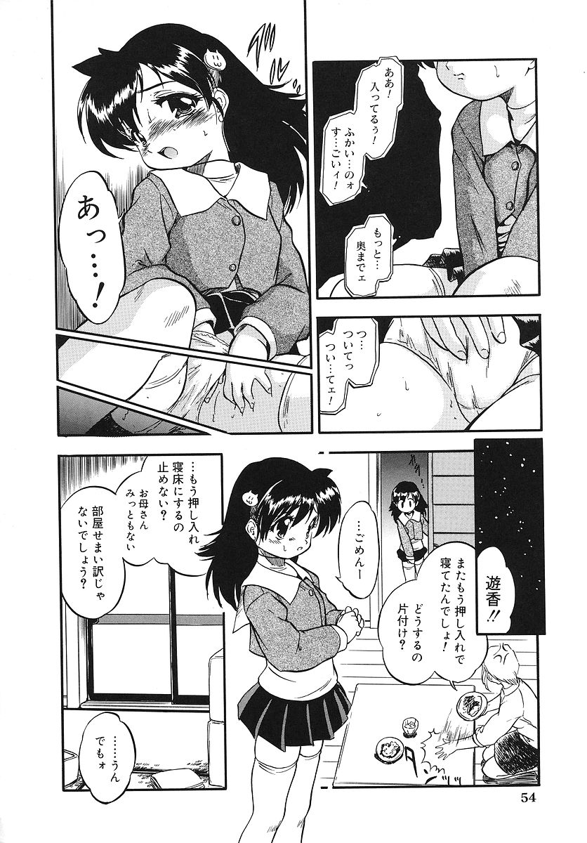 [Tomozawa Shou] Mitsuiro Youshokusai page 63 full