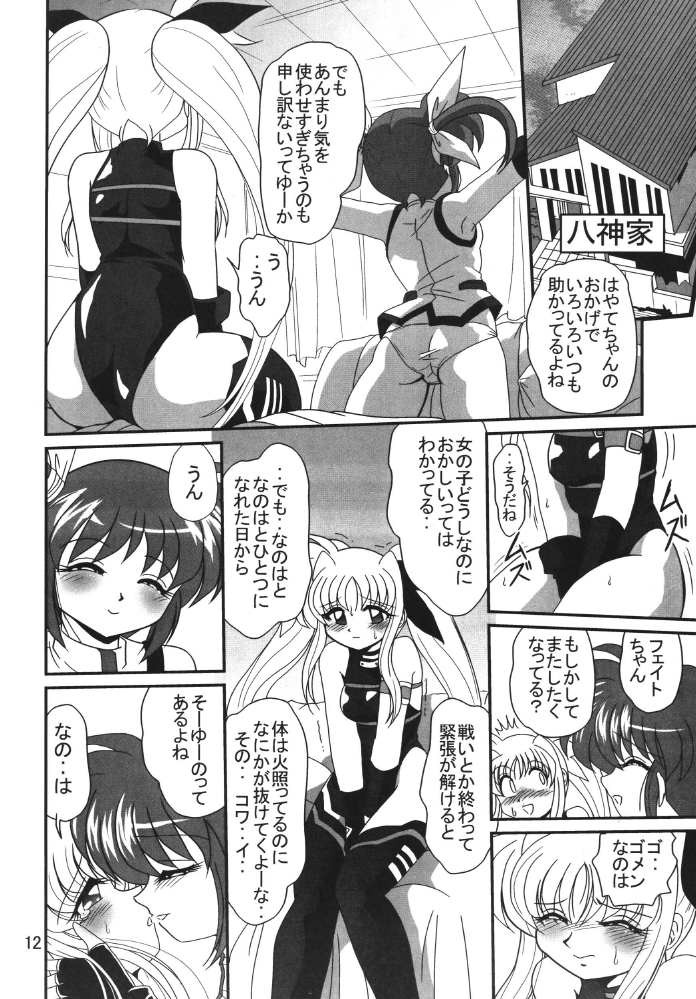 [Thirty Saver Street 2D Shooting] Storage Ignition 2 (Mahou Shoujo Lyrical Nanoha / Magical Girl Lyrical Nanoha) page 12 full
