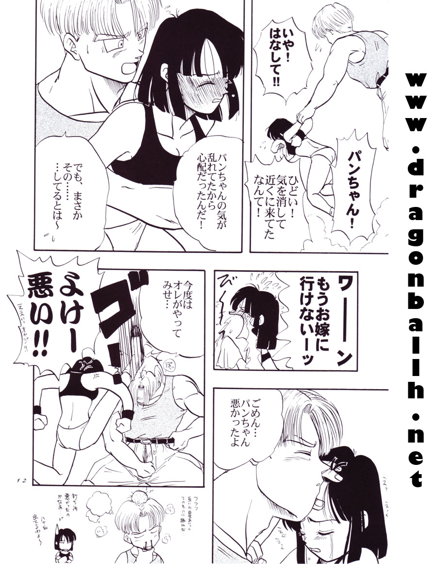 (C54) [Chirigami Goya, Fusuma go Ten (Shoji Hariko)] Tirinuruwo (DRAGON BALL) page 12 full