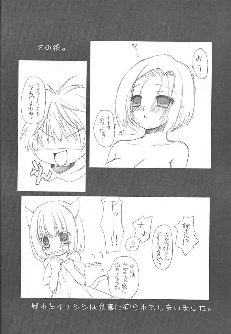 (C73) [chaotic_prism (Asato)] Fuusui Inoshishi (Final Fantasy XI) page 27 full