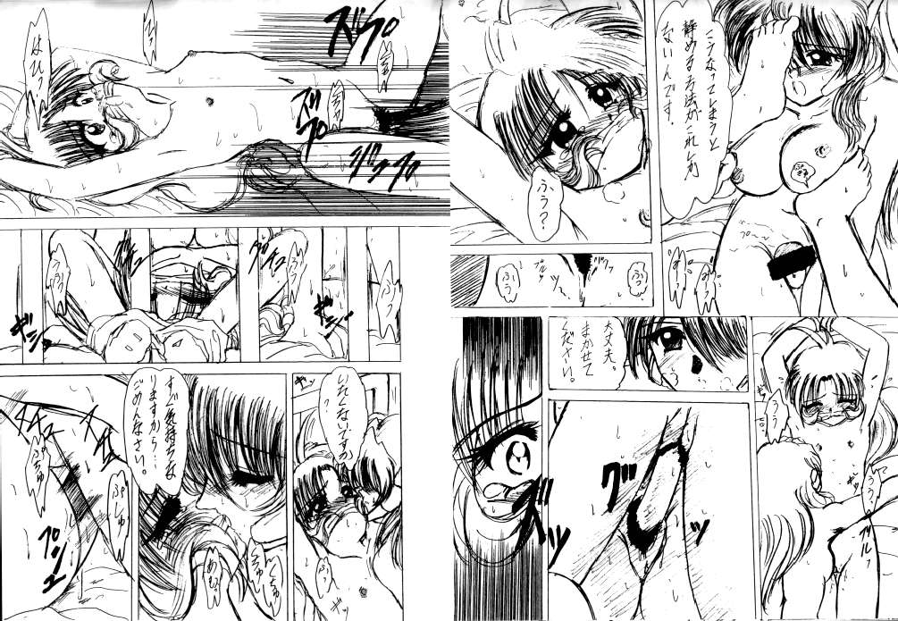 (C58) [L-Gauge Sha (Naruhodo)] (Mo1 2 )2 (Martian Successor Nadesico) page 42 full