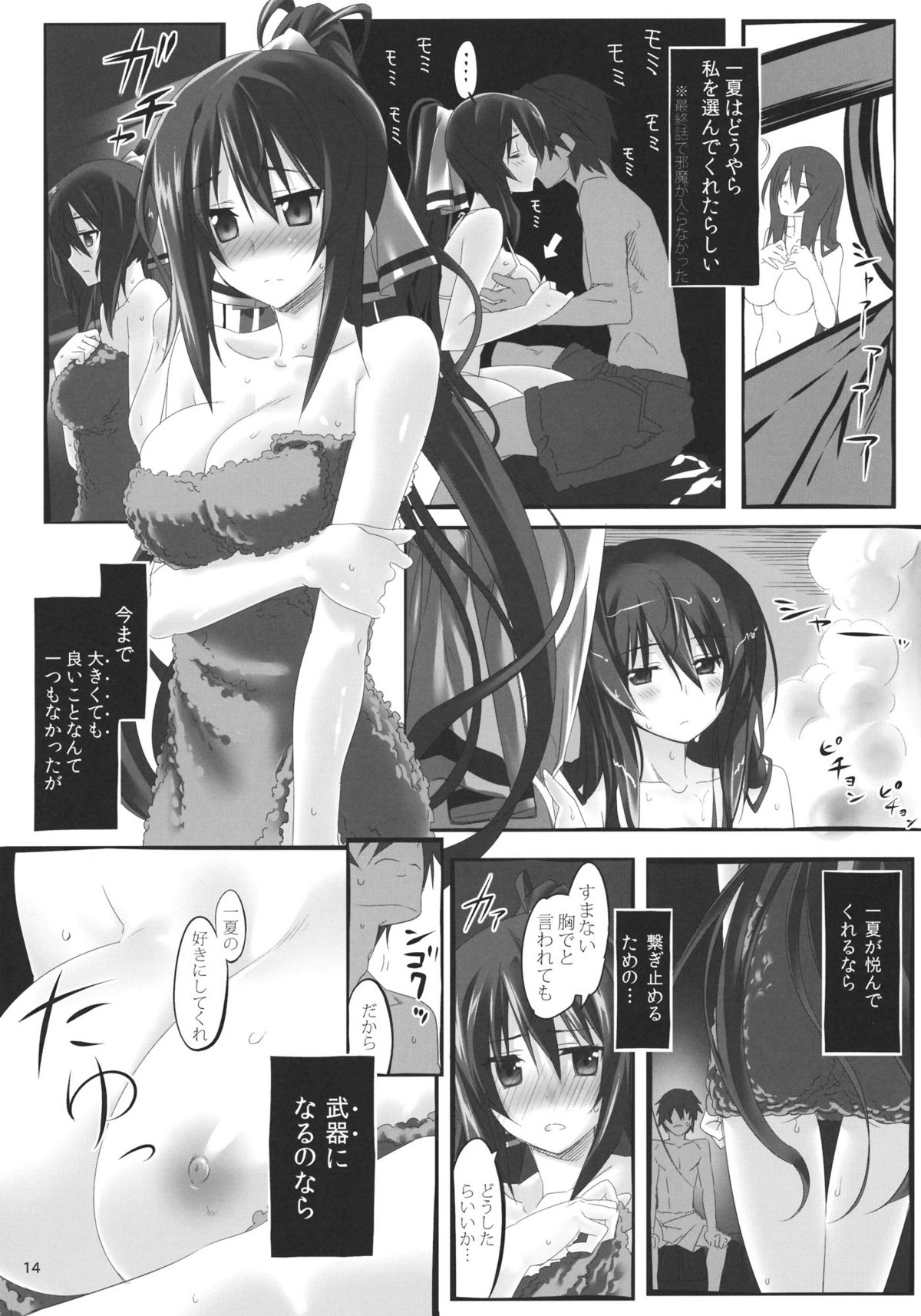 (C80) [Himura Nyuugyou (Himura Kiseki)] Yuuzai Shouko Bukken Sangou (IS <Infinite Stratos>) page 13 full