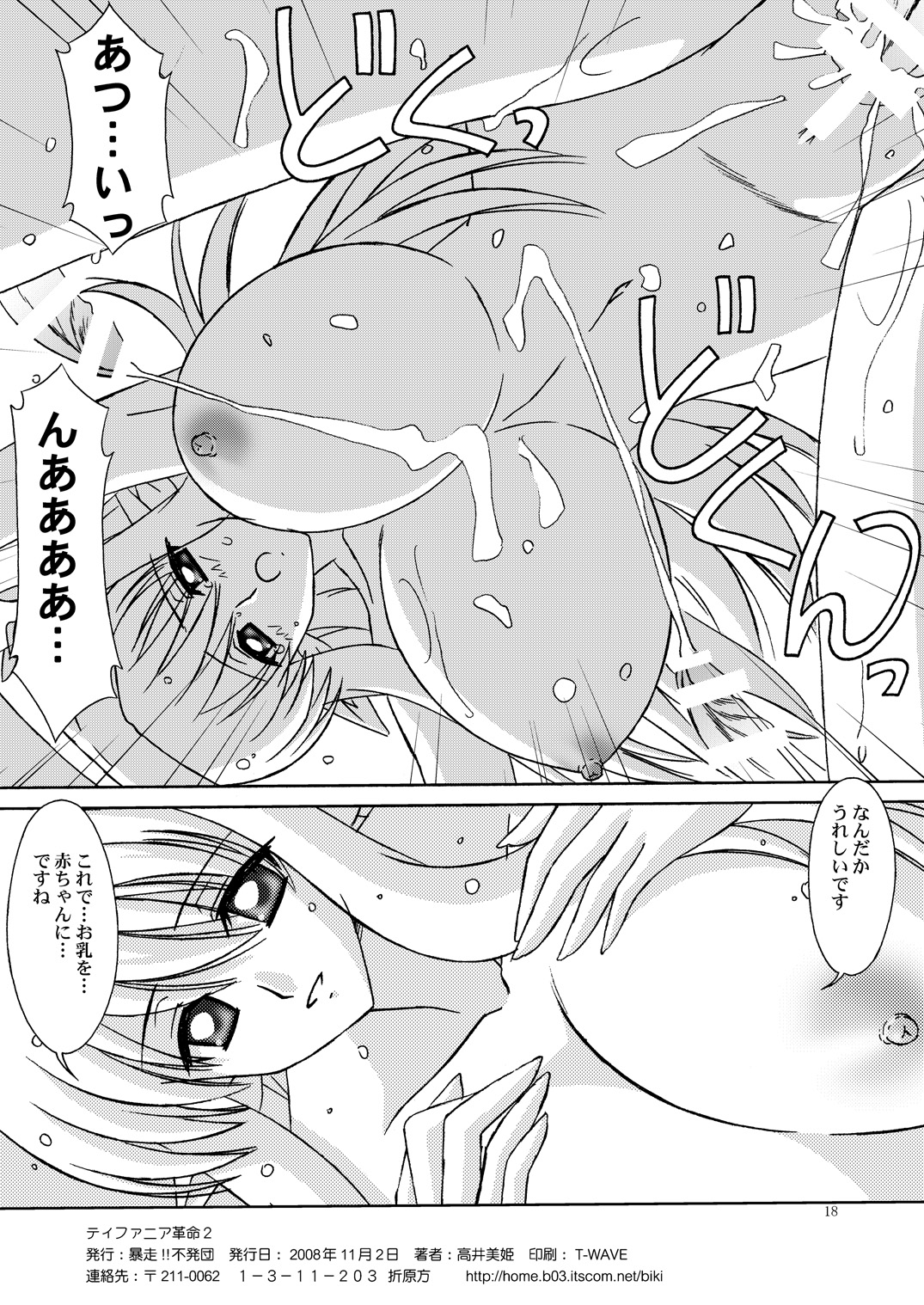 [Bousou!! Fuhatsudan (Takai Biki)] Tiffania Kakumei 2 (Zero no Tsukaima) page 17 full