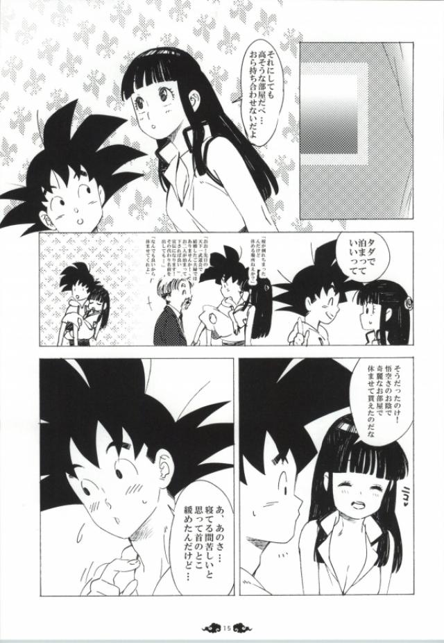 (C84) [S-FLAKE (Yukimitsu)] Ai ga GISSIRI - Love is crowded. (Dragon Ball Z) page 13 full