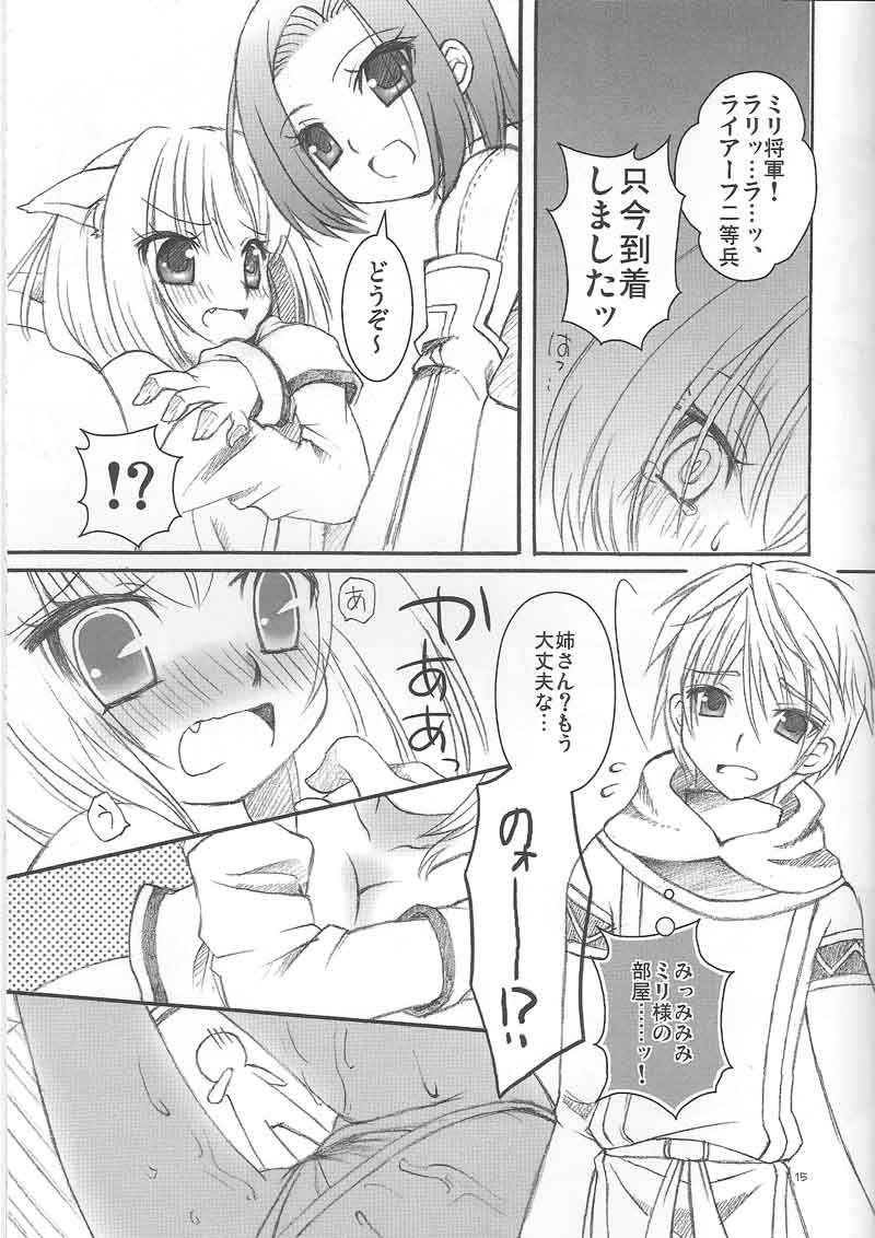 (C73) [chaotic_prism (Asato)] Fuusui Inoshishi (Final Fantasy XI) page 14 full