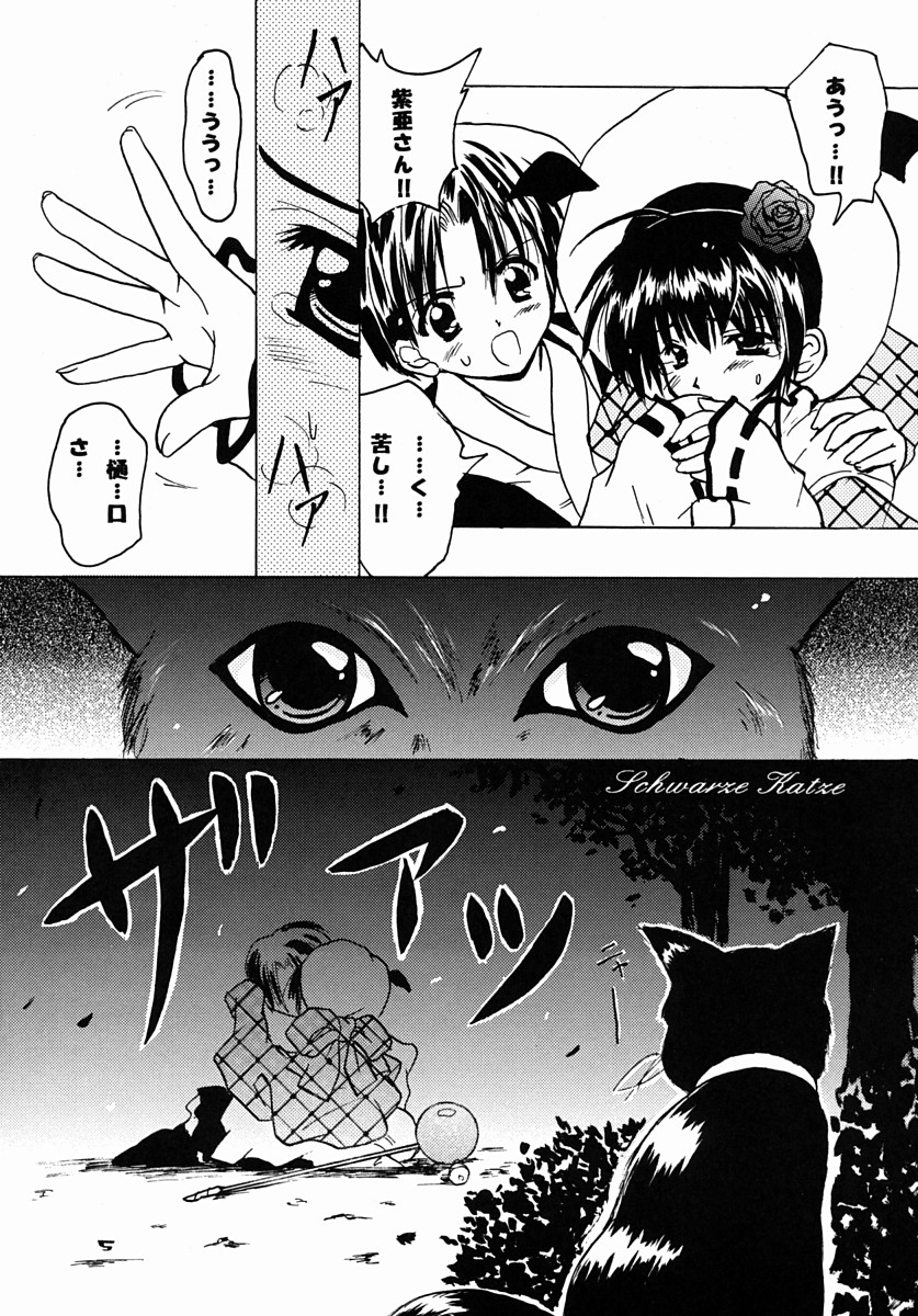 (SC16) [Moku Moku Dou (Hitachi Ken-naru)] Schwarze Katze (Pita-Ten) page 4 full