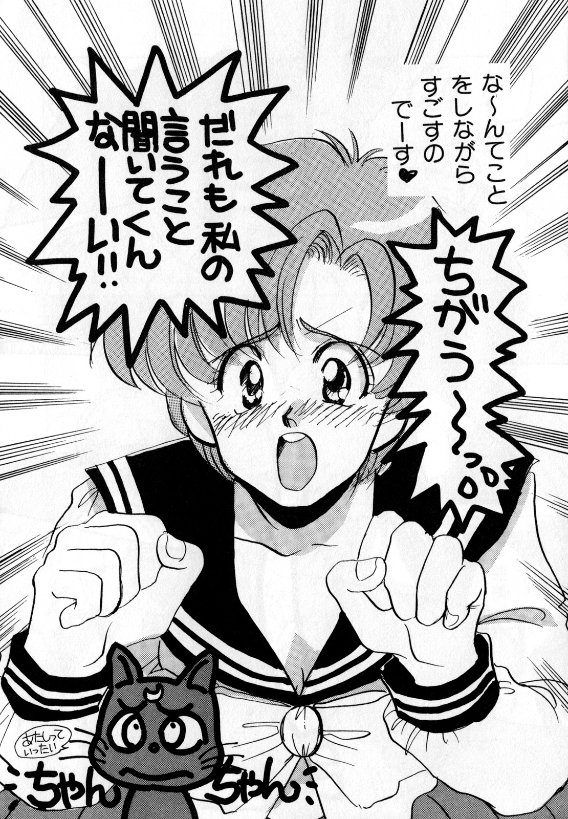 [Anthology] Lunatic Party 1 (Sailor Moon) page 41 full