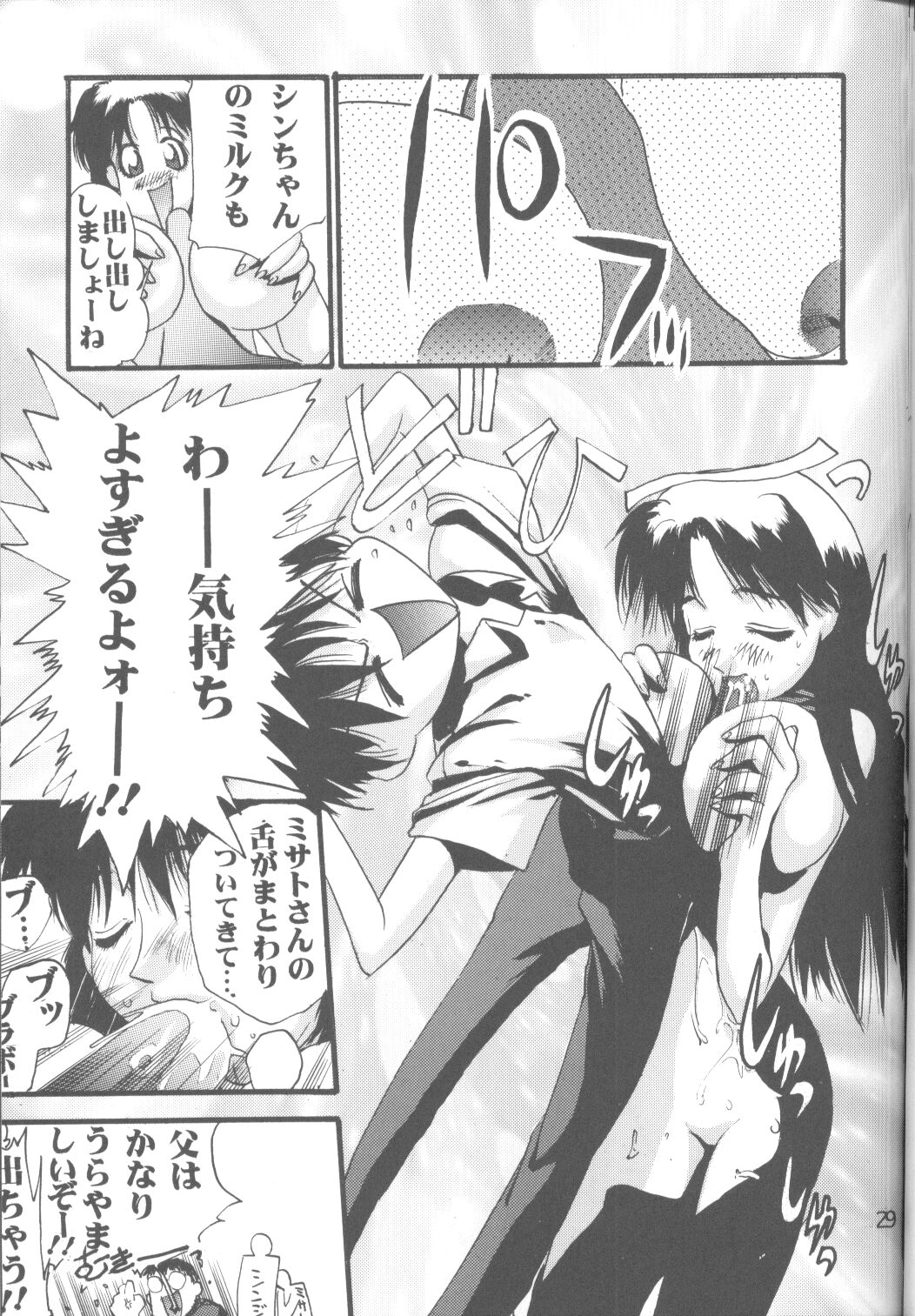 (C52) [PUSSY-CAT (Koresawa Shigeyuki)] Cat Food ～Koresawa Shigeyuki Kojin Sakuhinshuu～ (Neon Genesis Evangelion) page 28 full