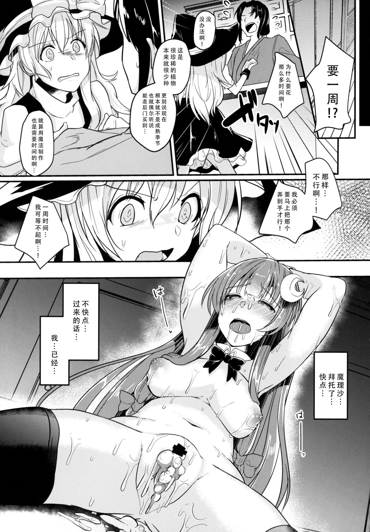 (Reitaisai 15) [Kuusou Monochrome (Abi)] Migawari no Patchouli (Touhou Project) [Chinese] [脸肿汉化组] page 21 full