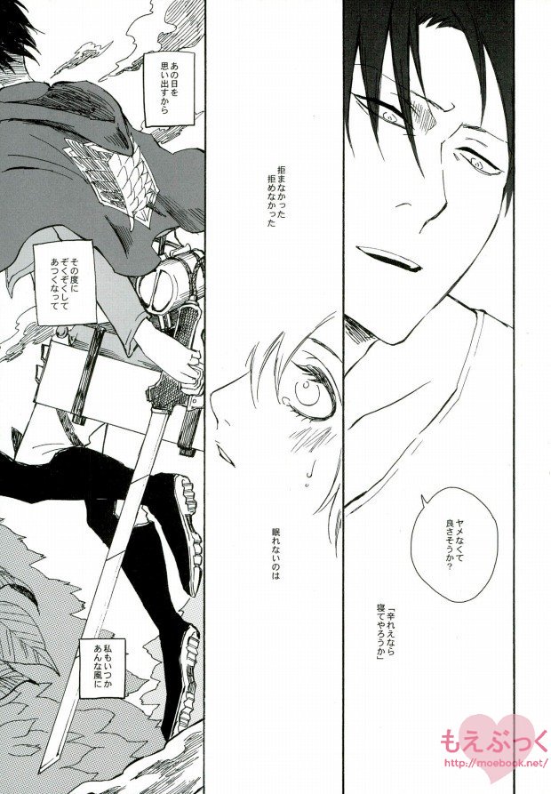 (SUPERKansai19) [QuintalLagosta (ebgr)] Kuro no Ookami Gin no Ookami (Shingeki no Kyojin) page 12 full