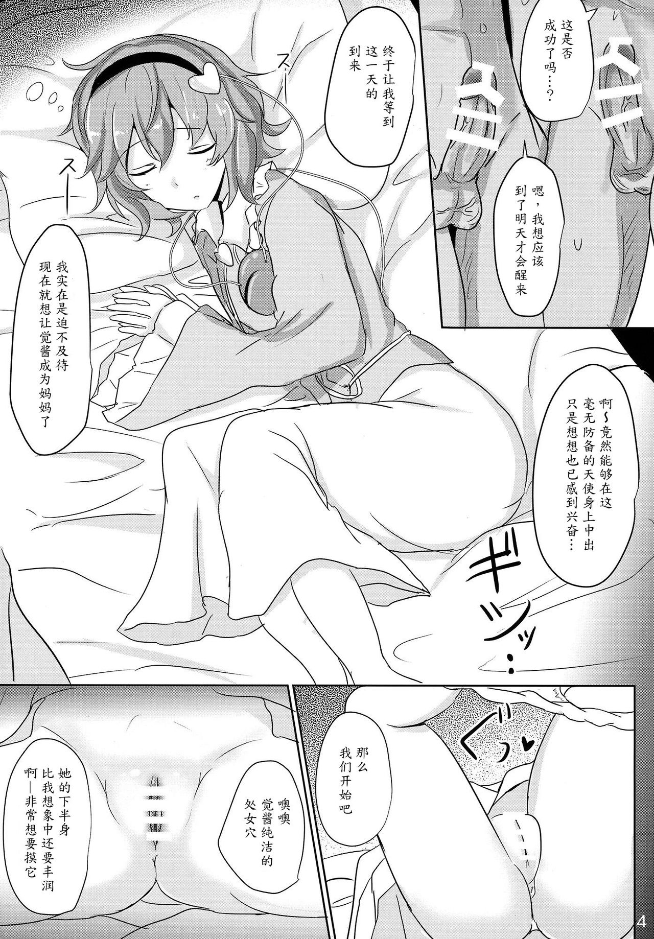 (Reitaisai 12) [Hakuginmokusei (Poshi)] Satori Suikan (Touhou Project) [Chinese] [魔劍个人汉化] page 3 full