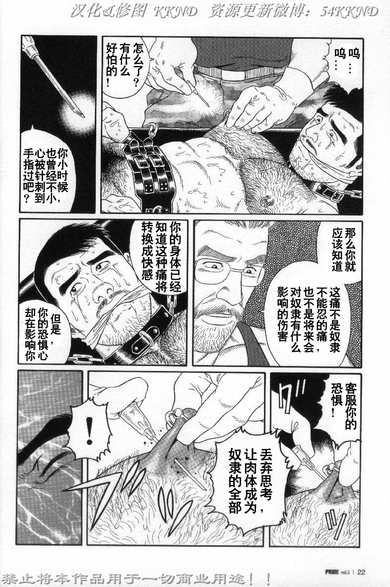 [Tagame Gengoroh] PRIDE Vol. 3 [Chinese] page 15 full