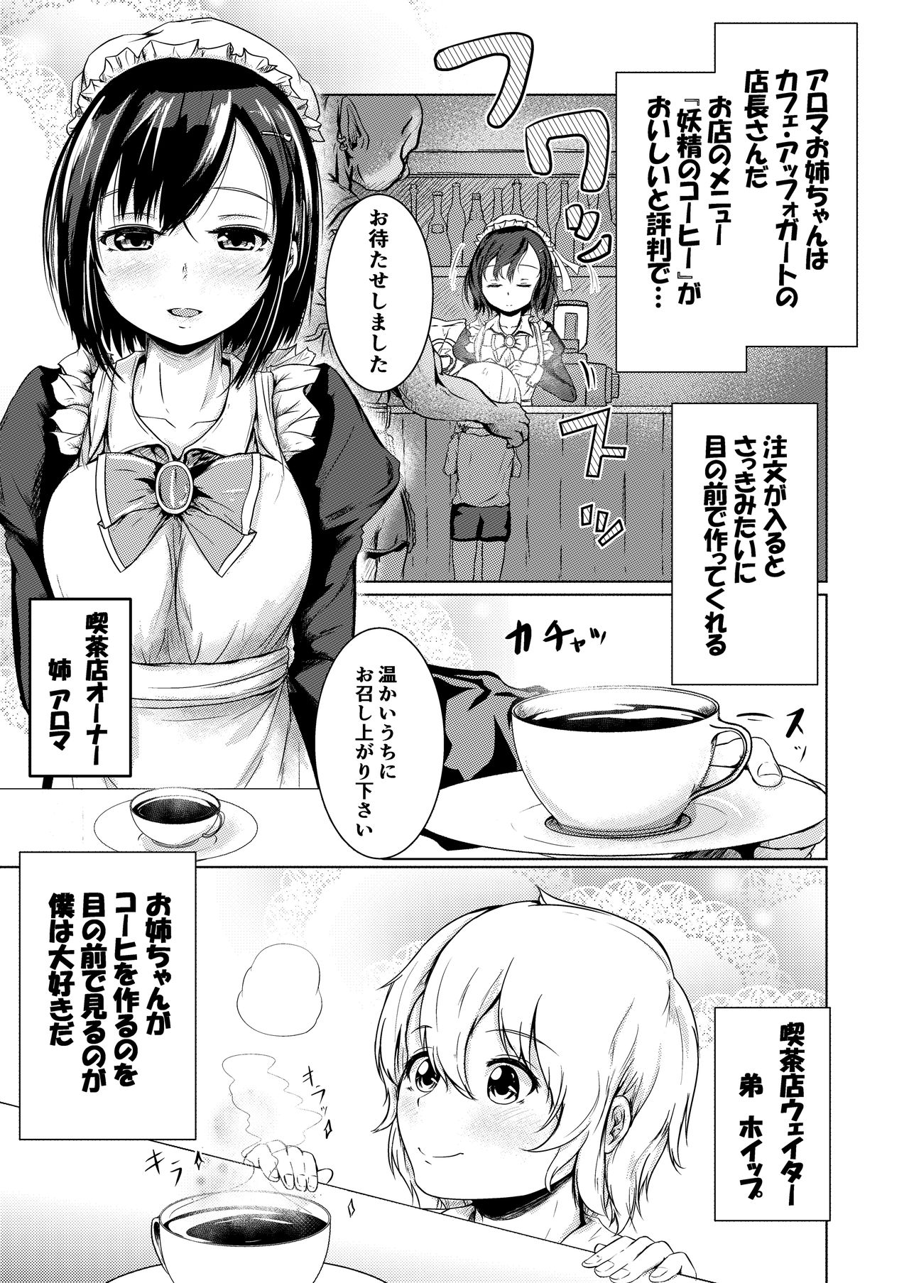 [Tsukitate-koubou (Shiromitsu Mochi)] Yousei Kissa e Youkoso [Digital] page 4 full