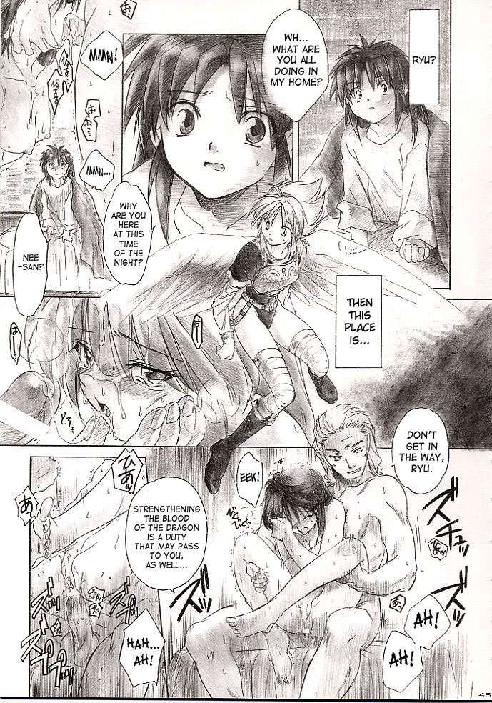 (C63) [Toko-ya (Kitoen)] Side:RYU - Ryuu no Me no Fuukei ~ third (Breath Of Fire) [English] [SaHa] page 44 full