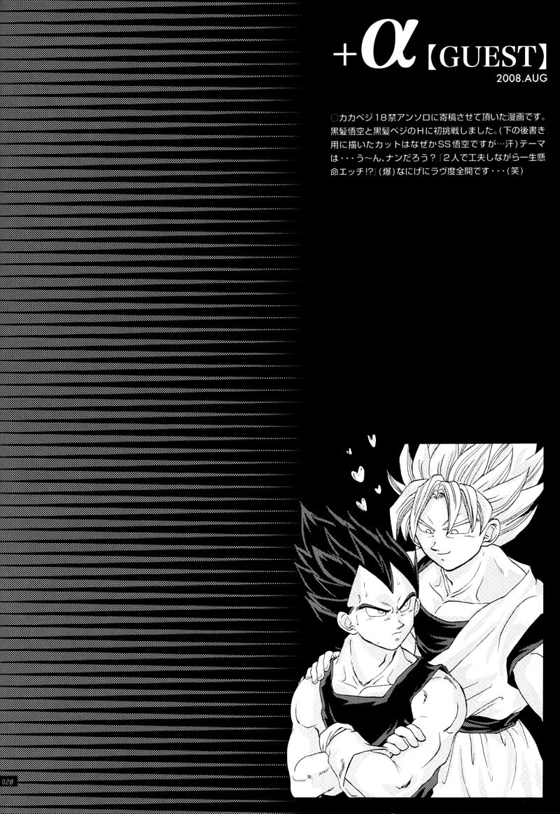 [GREFREE (ema)] Sairokua (Blaze, Voice, +A) (DRAGON BALL Z) page 26 full