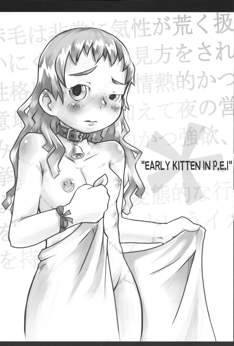(C70) [Urakata Honpo (Sink)] Urabambi Vol. 31 - Early Kitten in P.E.I (Akage no An [Anne of Green Gables]) page 2 full