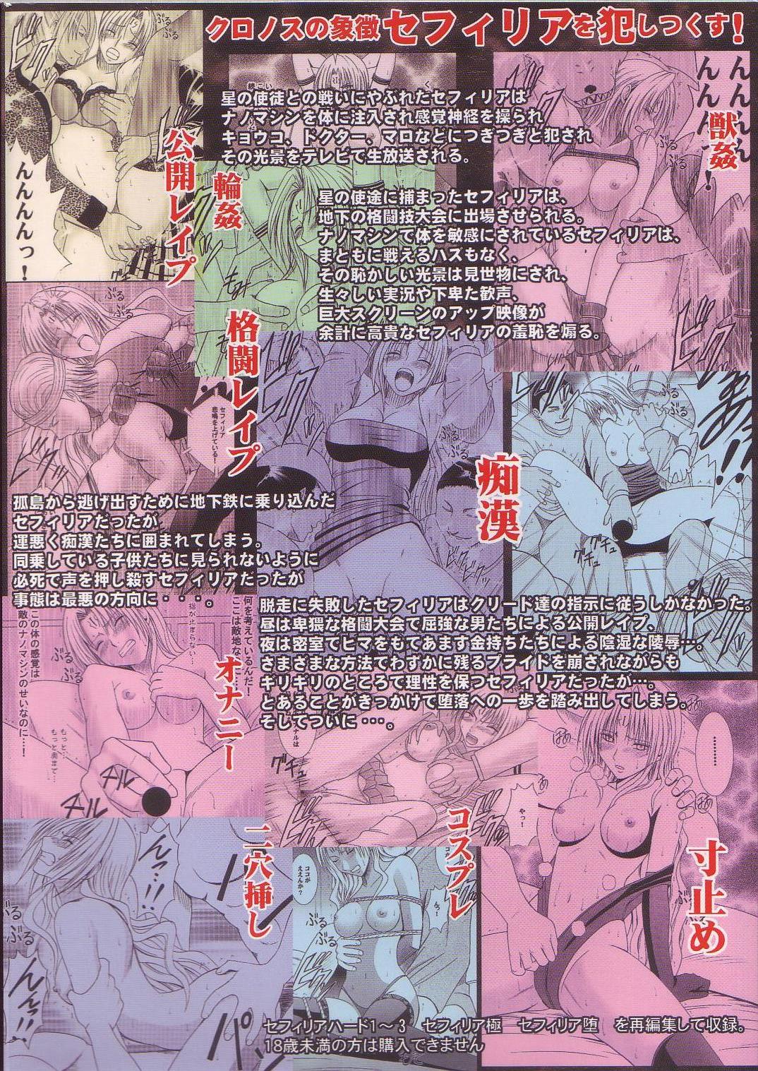 [Crimson Comics (Carmine)] Sephiria Hard Soushuuhen (Black Cat) [Chinese] [xyx1126个人汉化] page 274 full