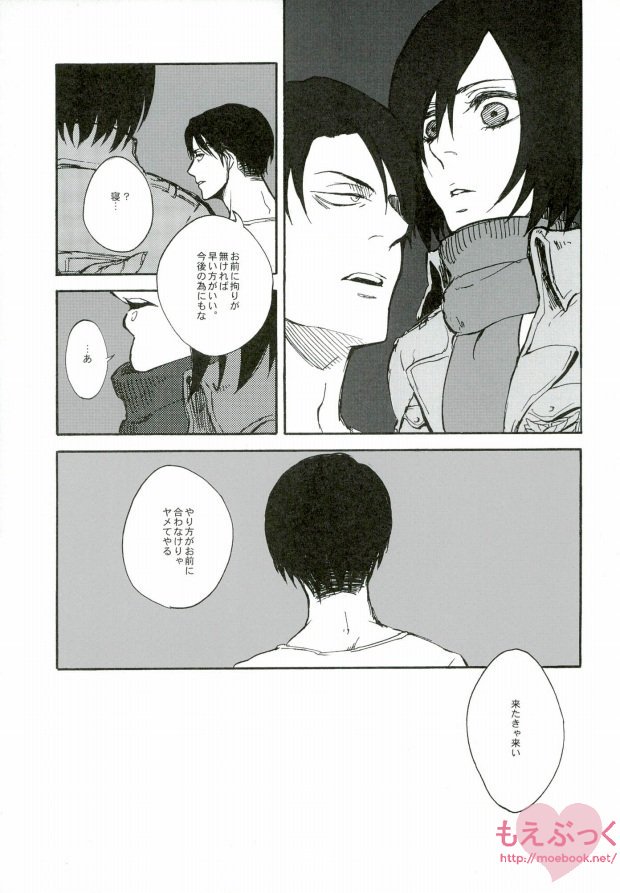 (SUPERKansai19) [QuintalLagosta (ebgr)] Kuro no Ookami Gin no Ookami (Shingeki no Kyojin) page 6 full