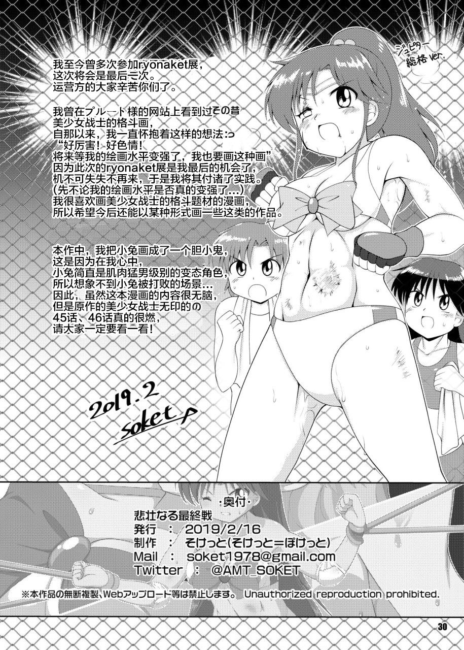 [Soket=Pocket (Soket)] Hisou naru Saishuusen (Sailor Moon) [Digital] [Chinese] [不可视汉化] page 29 full