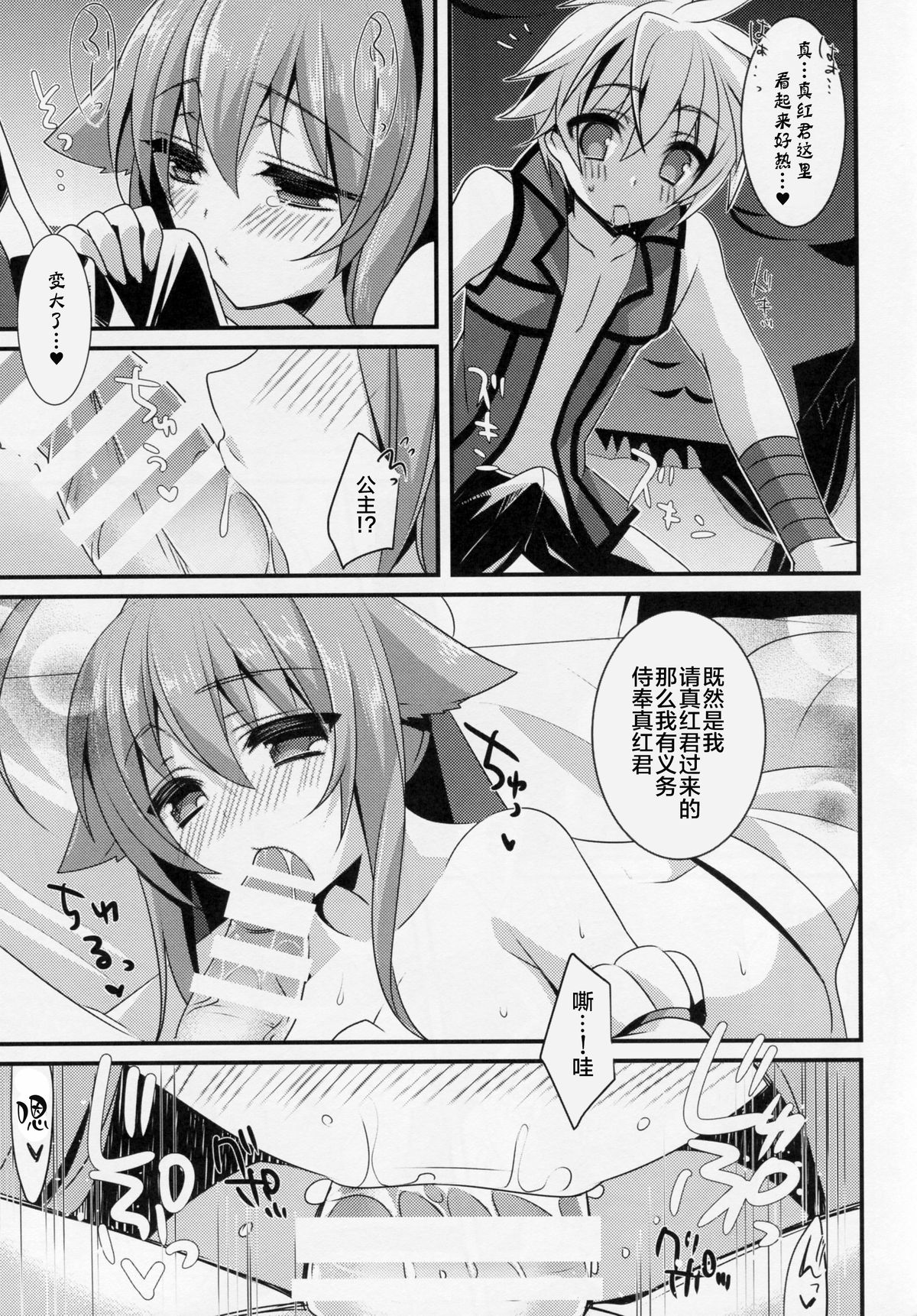 (C87) [hlz (Sanom)] D.D.Kingdom6 (DOG DAYS) [Chinese] [hado与怜个人汉化] page 9 full