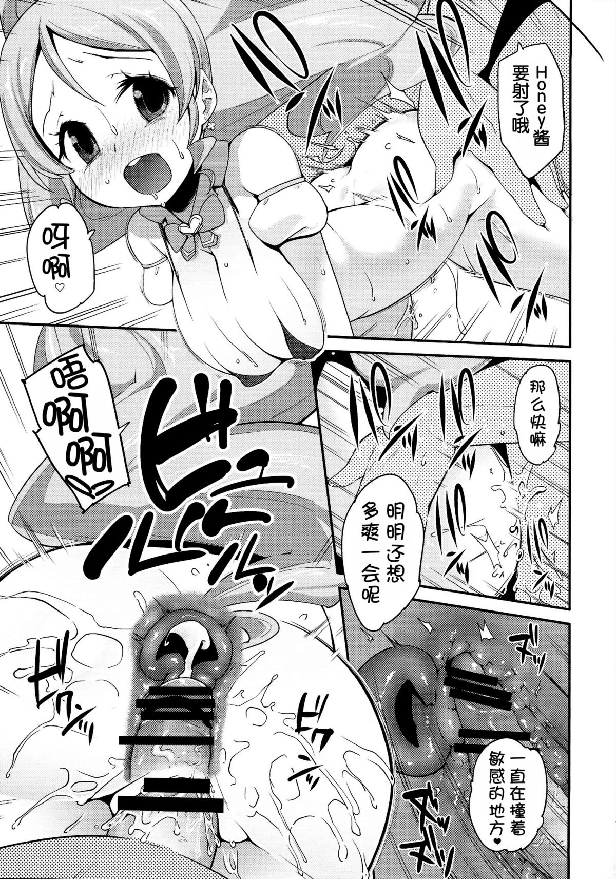 (C87) [Condiment wa Hachibunme (Maeshima Ryou)] Happiness experience2 (HappinessCharge Precure!) [Chinese] [狼娘汉化] page 13 full