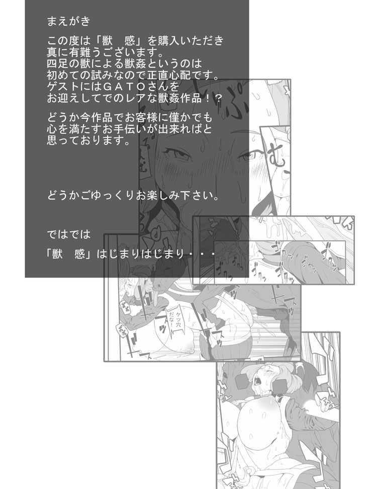 [Rush Rise Line (Okiyo)] Juukan [Chinese] [新桥月白日语社] page 3 full