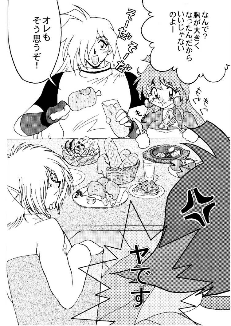 (C57) [Ginmomodou (Mita Satomi)] Slayers Adult 10 (Slayers) page 5 full