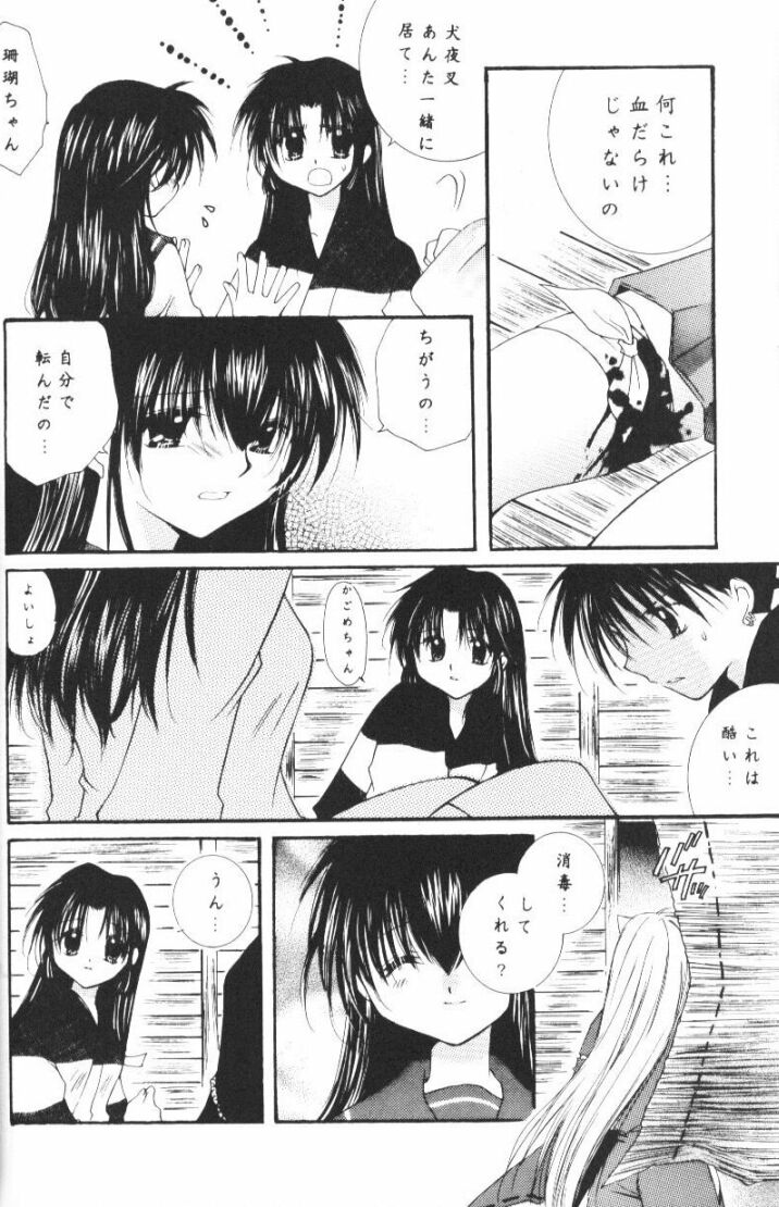 (CR33) [Sakurakan (Seriou Sakura)] Hoshikuzu Drop (Inuyasha) page 27 full