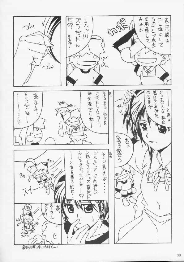 (C68) [AKKAN-Bi PROJECT (Yanagi Hirohiko)] RED BRAVO (Mobile Suit Gundam Seed Destiny) page 29 full