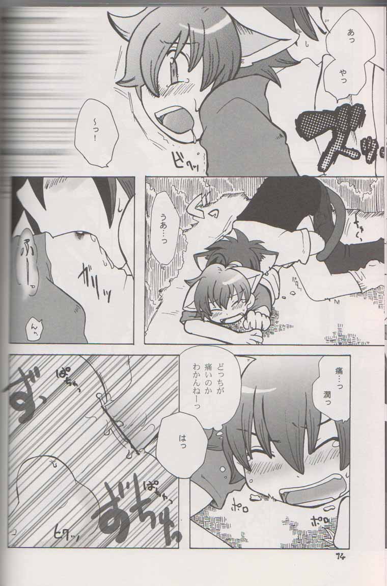 (C70) [Cupsule Asia (Minagata)] Wanko to Nyan-nyan Dekitara Ii na (Onegai My Melody) page 13 full