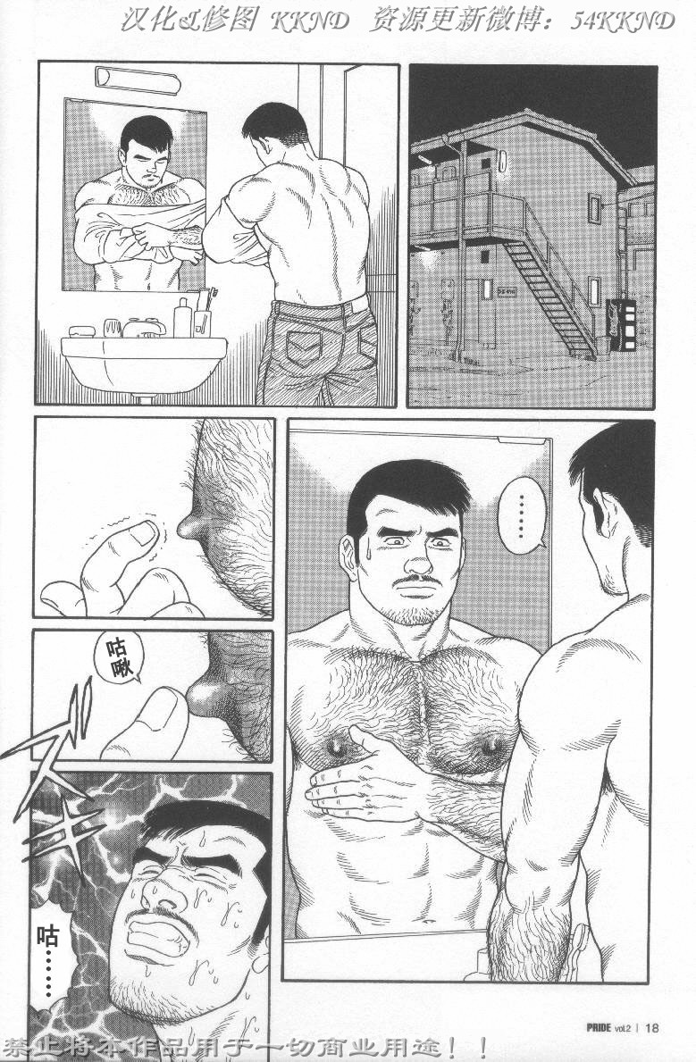 [Tagame Gengoroh] PRIDE Vol. 2 [Chinese] page 11 full