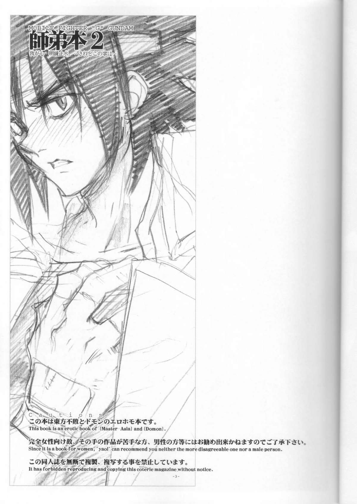 (C64) [Article 60 of Criminal Code (Shuhan)] GG Shitei Bon 2 (G Gundam) page 3 full