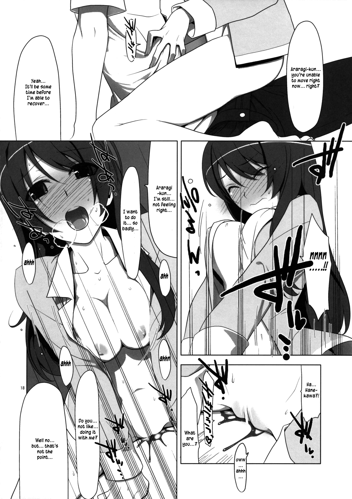 (C77) [TIES (Takei Ooki)] PLUNDER (Bakemonogatari) [English] {EHCove, L4K} page 17 full