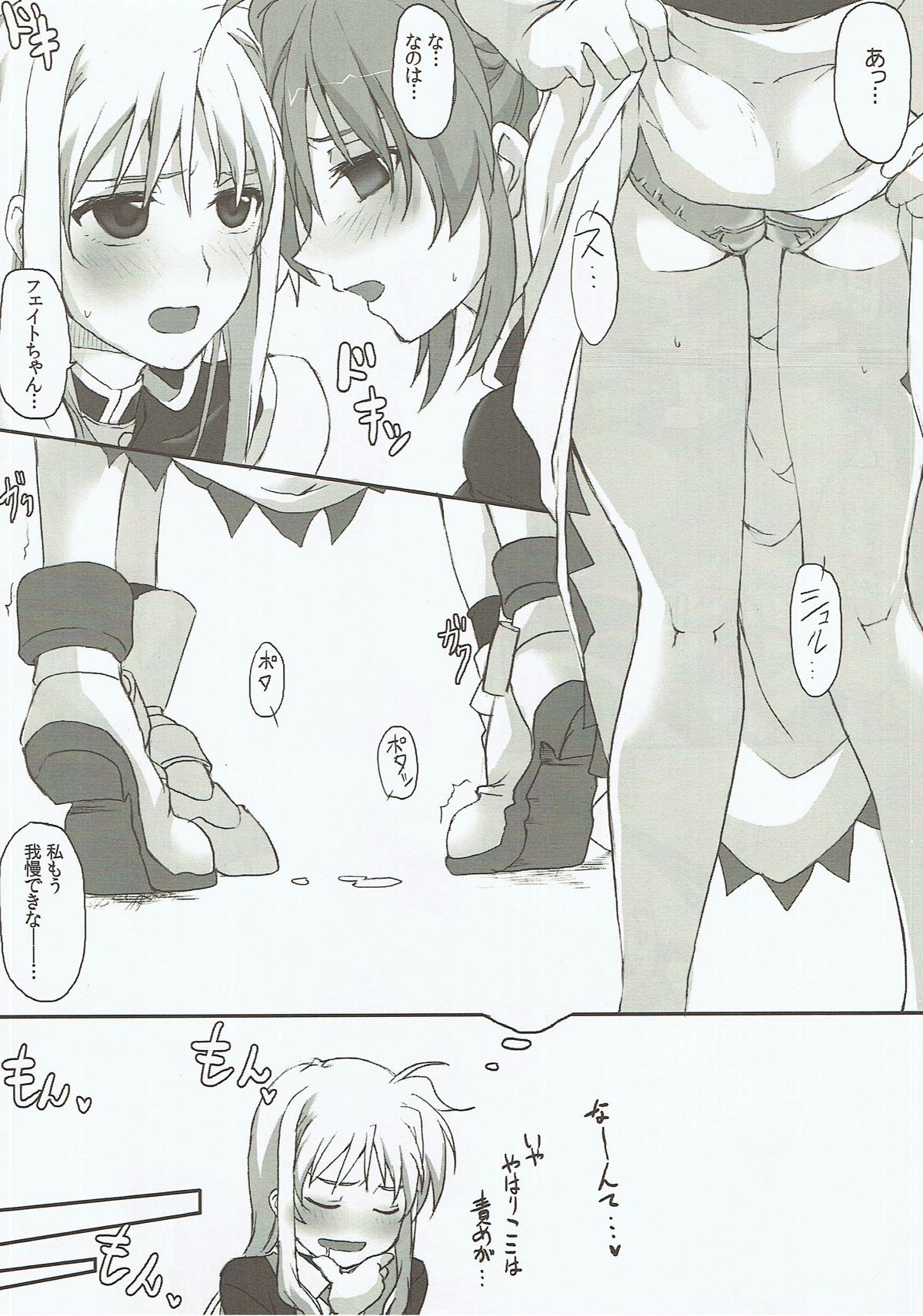 (C91) [STROLL IN THE WOODS !! (ELF)] Fate-san ga Iranai Chishiki o Eta you desu (Mahou Shoujo Lyrical Nanoha) page 5 full