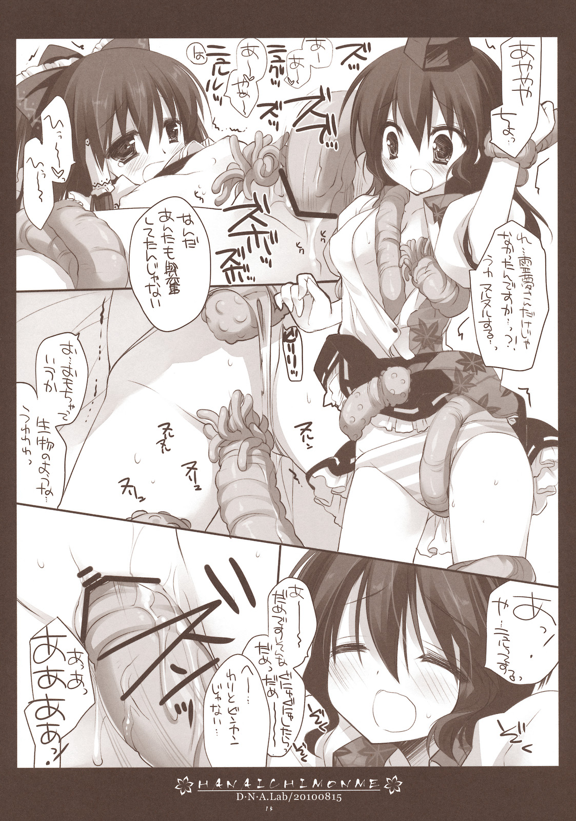 (C78) [D.N.A.Lab. (Miyasu Risa)] HANAICHIMONME (Touhou Project) page 13 full