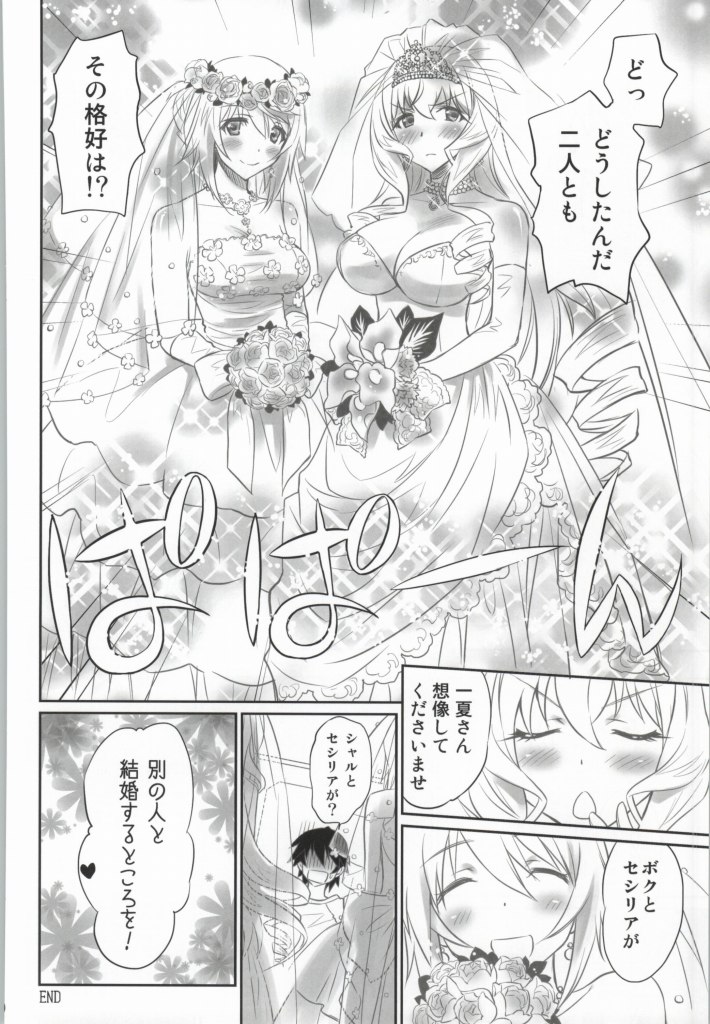 (COMIC1☆8)[Bloody Okojo (Akutagawa Manbou)] IMAGINE!!～いいから想像して!!～ (Infinite Stratos)(Incomplete) page 23 full